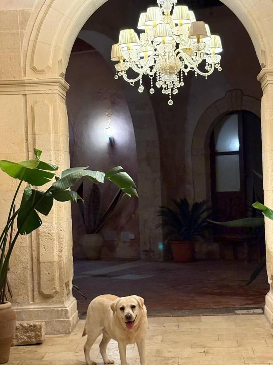 Palazzo Gancia Holiday Homes Сиракузы Экстерьер фото